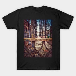 Behind The Gate T-Shirt